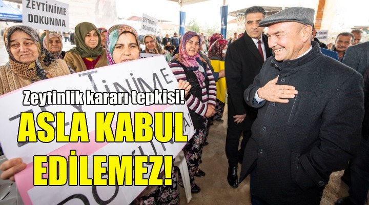 Soyer: Zeytin ağaçlarının yok edilmesi asla kabul edilemez!