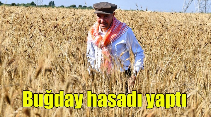 Soyer elleriyle serptiği karakılçık buğdayının hasadını yaptı