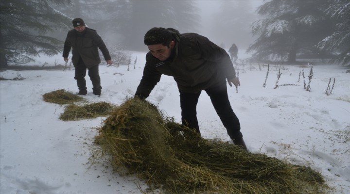 Spil Dağı Milli Parkı na yaban hayvanları için yem bırakıldı