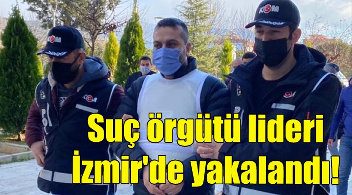 Suç örgütü lideri İzmir de yakalandı!