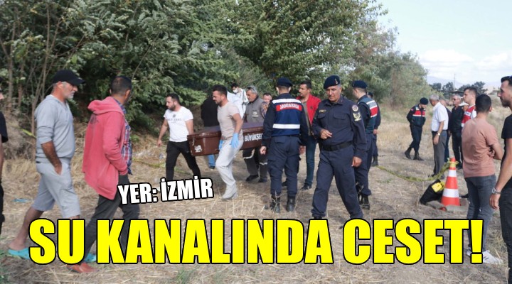 Sulama kanalında ceset bulundu!