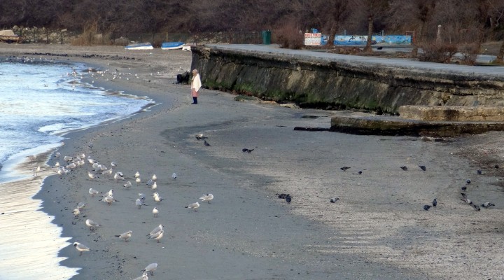 Suların çekilmesi tedirginlik yaratmıştı... Marmara Denizi açıklaması!