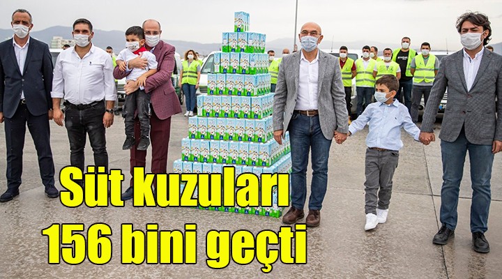 Süt kuzuları 156 bini geçti!