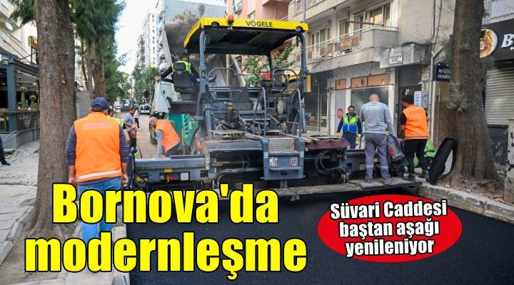 Süvari Caddesi baştan aşağı yenileniyor