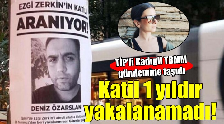 TİP li Kadıgil TBMM gündemine taşıdı... Katil 1 yıldır yakalanamadı!