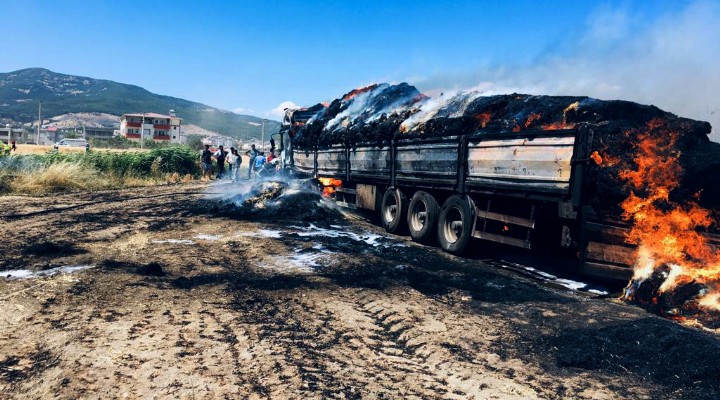 TIR da başlayıp tarlaya sıçradı!