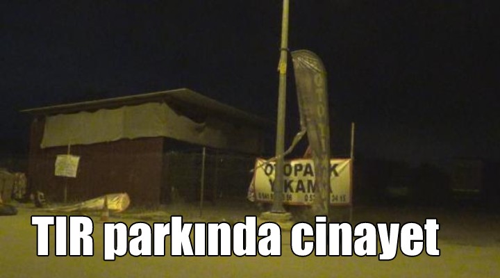 TIR parkında cinayet