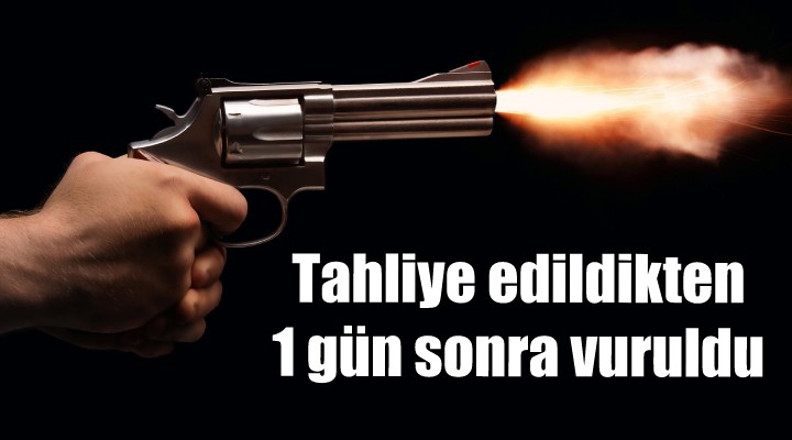 Tahliye edildikten bir gün sonra vuruldu