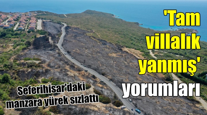 Tam villalık yanmış!