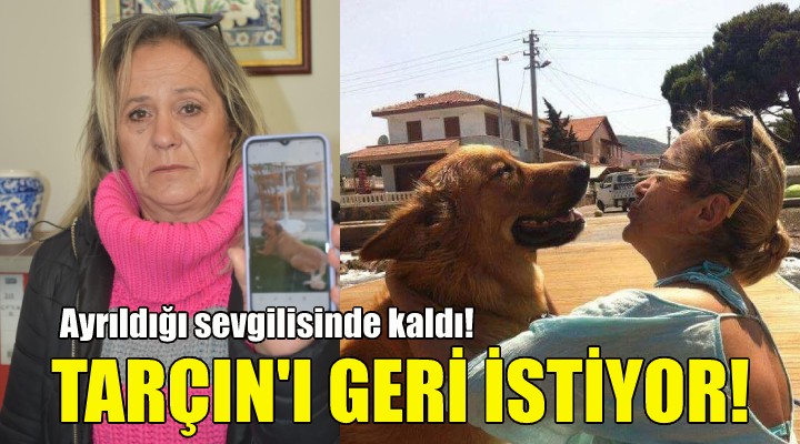 Tarçın için hukuk mücadelesi başlattı!