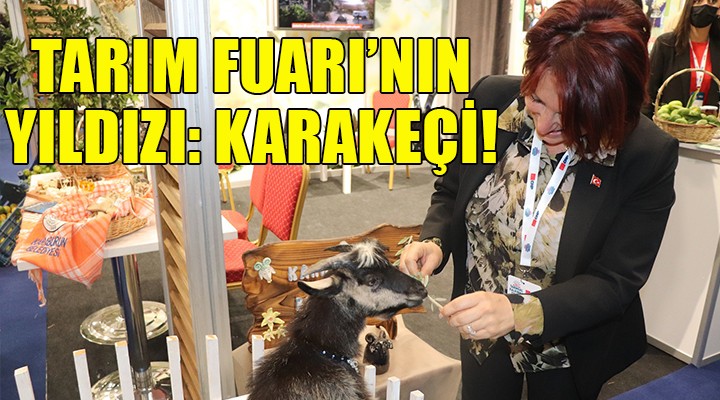 Tarım Fuarı nın yıldızı Karakeçi!