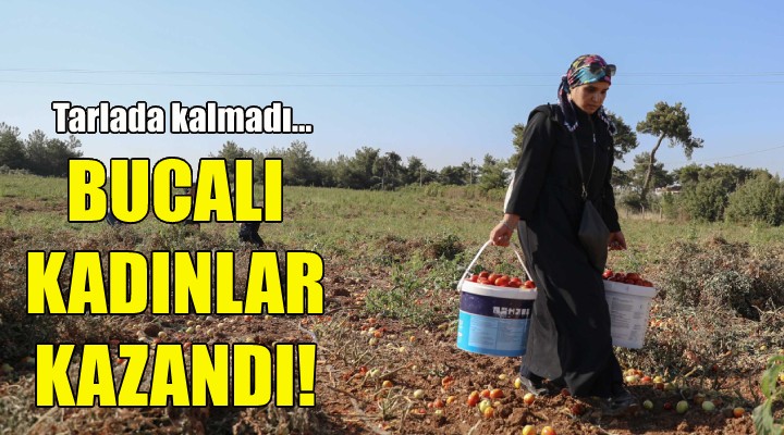 Tarlada kalmadı, Bucalı kadınlar kazandı!