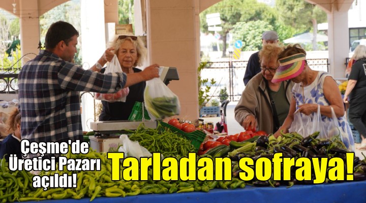 Tarladan Sofraya Üretici Pazarı açıldı!