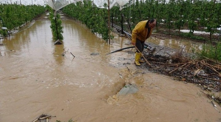 Tarlası sular altına kalan çiftçilere ‘hasar yok’ raporu verdiler!