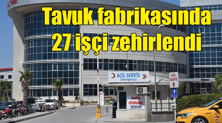 Tavuk fabrikasında 25 işçi zehirlendi