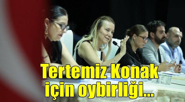 Temiz bir Konak için meclisten oybirliği...