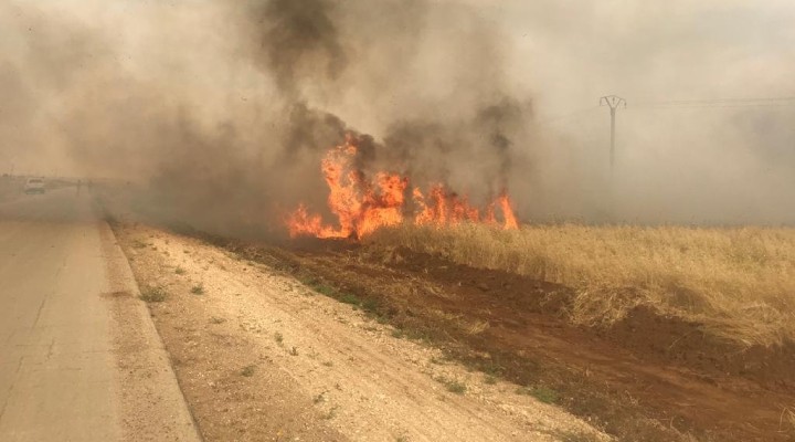 Terör örgütü PKK/YPG’nin hain planı