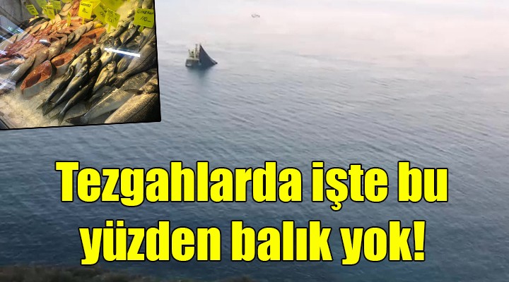 Tezgahlarda işte bu yüzden balık yok!