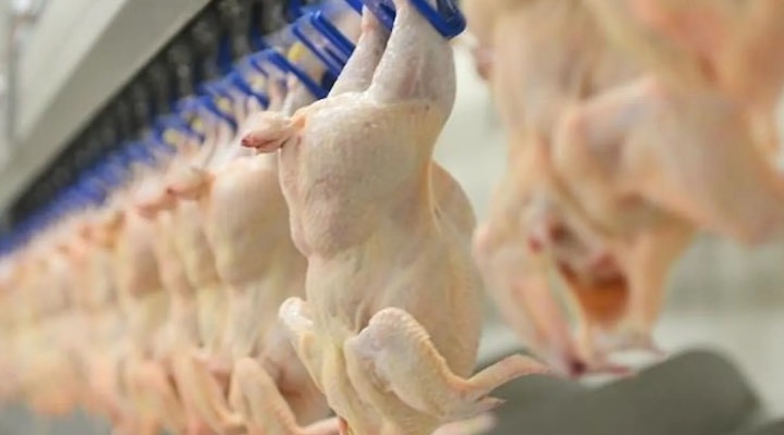 Ticaret Bakanlığı kanatlı eti ihracatını durdurdu