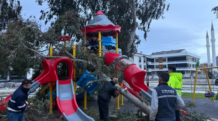Tire Belediyesi ekipleri, fırtına mesaisinde