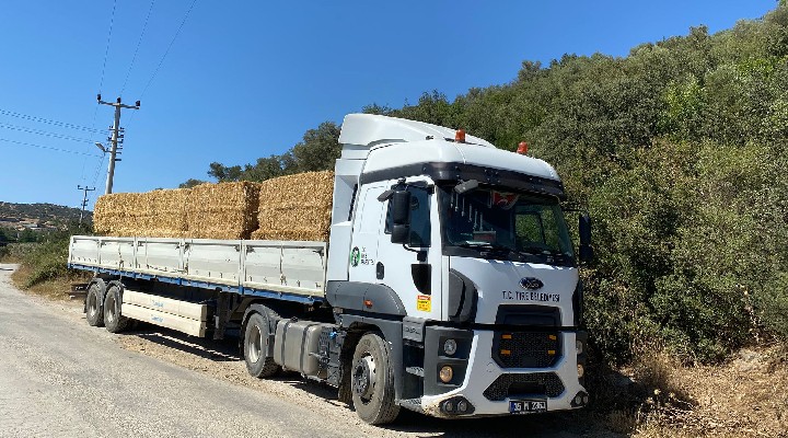 Tire Belediyesi nden yangın bölgesindeki üreticilere destek