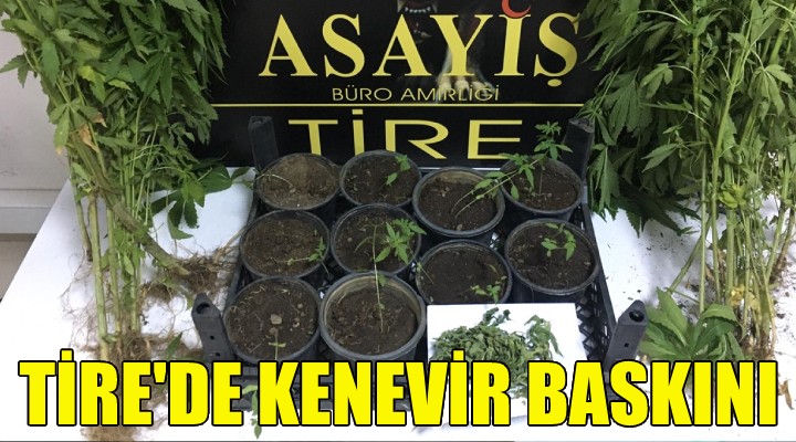 Tire de kenevir baskını!