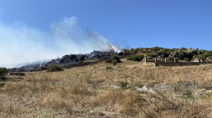 Tire de makilik alanda yangın