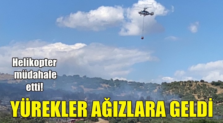 Tire de yürekler ağızlara geldi!