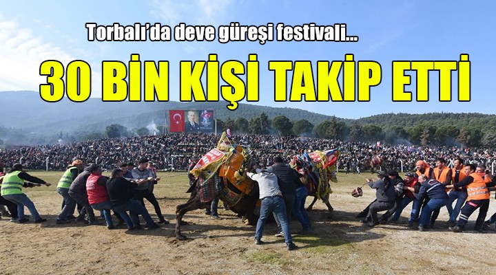 Torbalı da deve güreşi festivali...