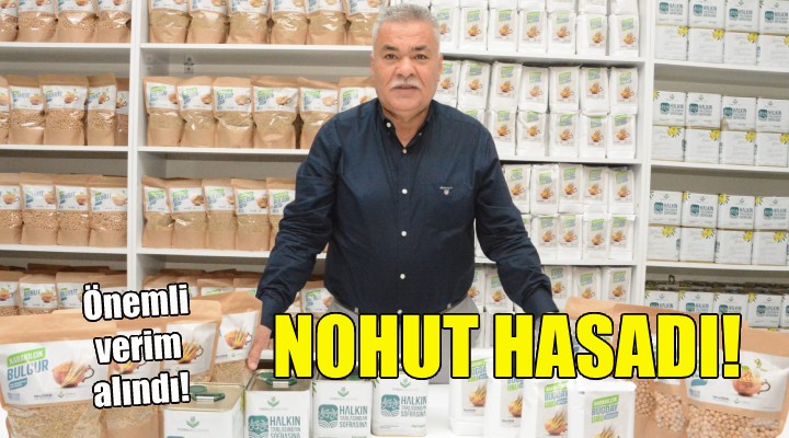 Torbalı da nohut hasadı!