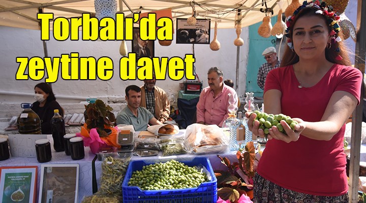 Torbalı da zeytin festivali