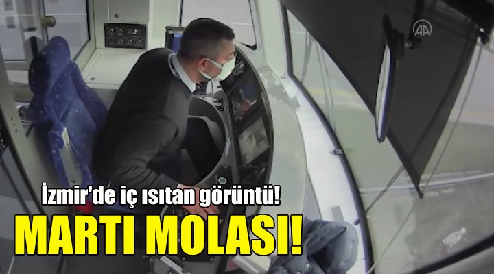 Tramvay seferine martı molası!