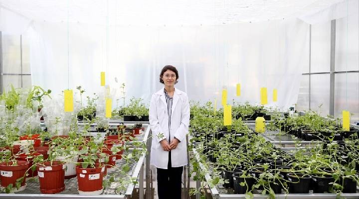 Türk bilim kadını deneyleriyle uzay biyolojisine katkı sunuyor