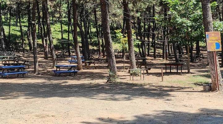 Türkiye genelinde 47 ilde ormanlara giriş yasaklandı