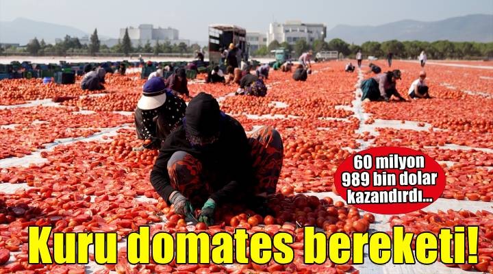Türkiye ilk yarıda kurutulmuş domatesten 60 milyon 989 bin dolar kazandı