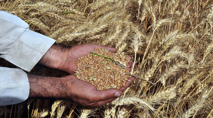 Türkiye nin tarım raporu açıklandı.. Durum çok vahim