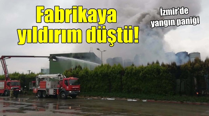 Turşu fabrikasına yıldırım düştü!