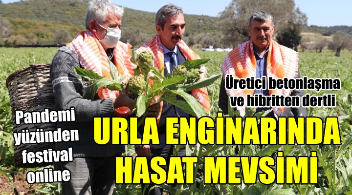 URLA ENGİNARINA DİJİTAL FESTİVAL!