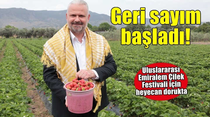 Uluslararası Emiralem Çilek Festivali için geri sayım