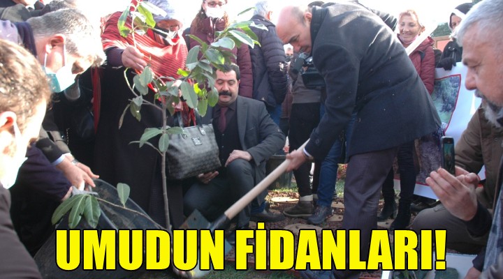 Umudun fidanları İzmir de dikildi!