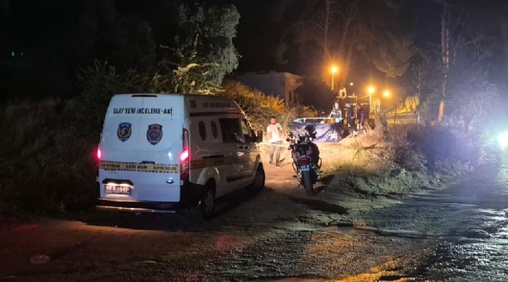 Üniversite öğrencisi genç kız yol kenarında ölü bulundu