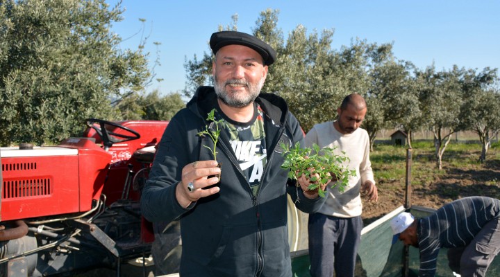 Ünlü klarnetçi çiftçiliğe başladı