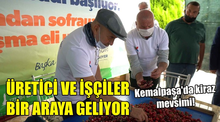 Üretici ve kiraz işçileri bir araya getiriliyor!