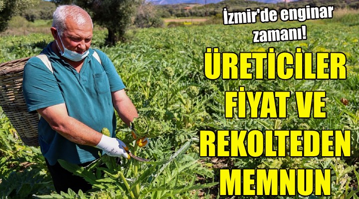 Üreticiler fiyat ve rekolteden memnun!