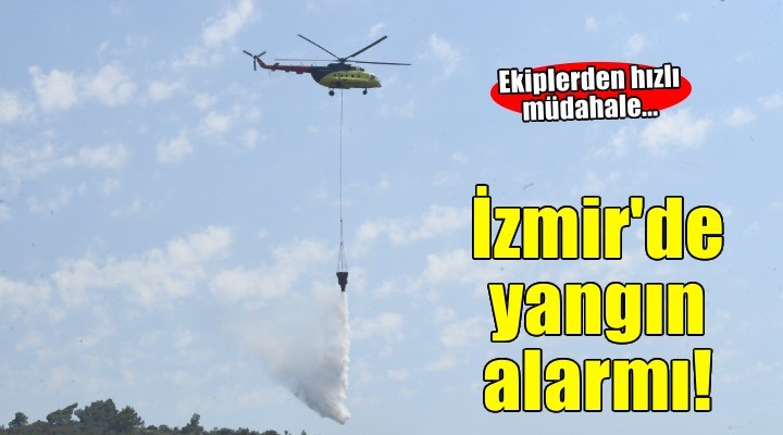 Urla Balıklıova’da orman yangını alarmı
