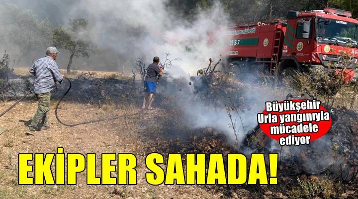 Urla Camiatik Mahallesi ormanlık alanda çıkan yangına müdahale sürüyor