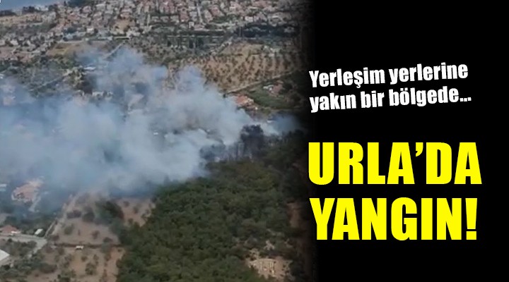 Urla da ağaçlık alanda yangın...