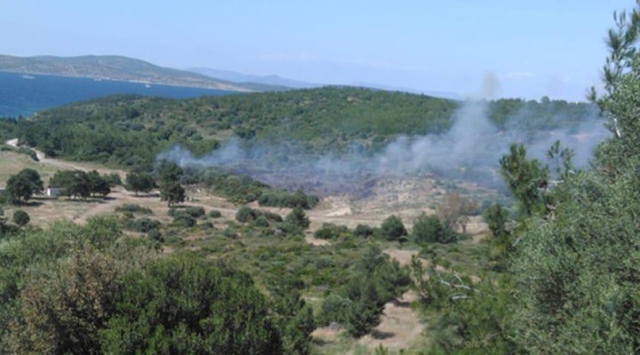 Urla da çıkan yangın kontrol altına alındı