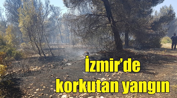 Urla da korkutan yangın