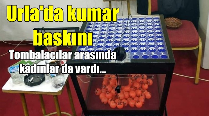 Urla da kumar baskını!